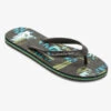 Quiksilver Molokai Art Gregg Kaplan - Tongs Pour Homme