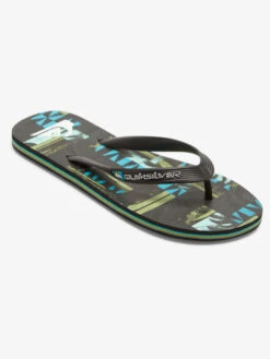 Quiksilver Molokai Art Gregg Kaplan - Tongs Pour Homme