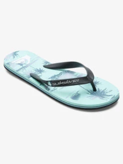Quiksilver Molokai Air Flow - Tongs Pour Homme