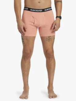 Quiksilver Core Super Soft - Pack De 2 Boxers Pour Homme