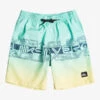 Quiksilver Everyday Wordblock 16" - Short De Bain Pour Garçon 8-16 Ans