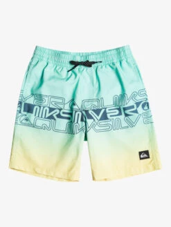 Quiksilver Everyday Wordblock 16" - Short De Bain Pour Garçon 8-16 Ans