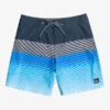 Quiksilver Surfsilk Panel 18" - Boardshort Pour Homme