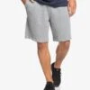 Quiksilver Essentials 19" - Short En Matière Molletonnée Biologique Pour Homme
