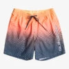 Quiksilver Everyday Warped Logo 17" - Short De Bain Pour Homme