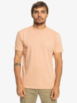 Quiksilver Essentials - T-shirt En Matière Biologique Pour Homme